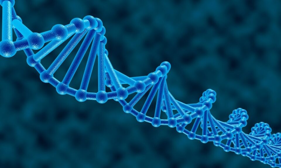 Telomeres